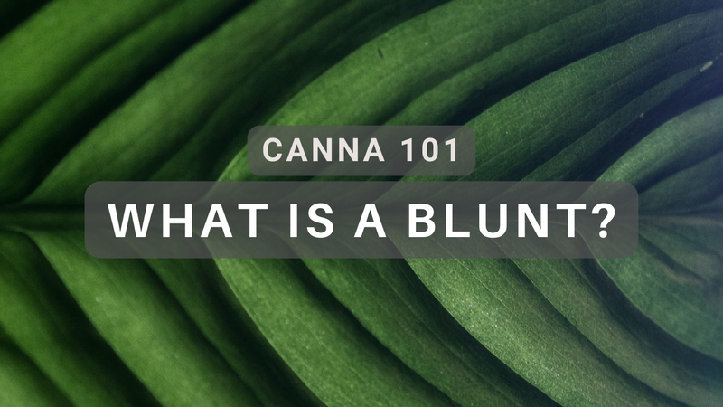 What is a Blunt? Unwrapping the World of Blunt Smoking – TIGHTPAC